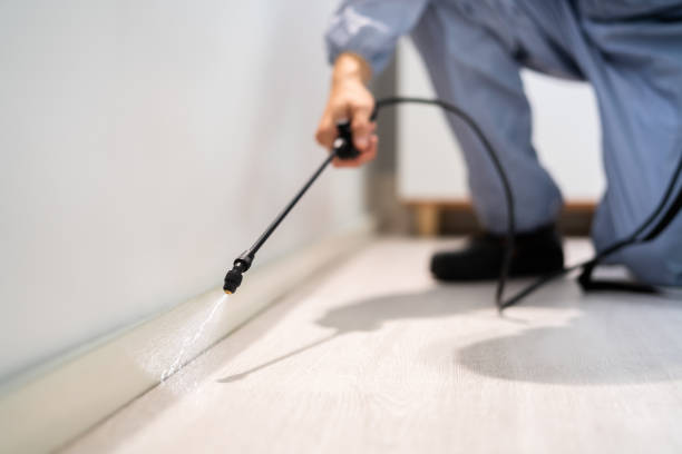 Licensed Pest Control service in District of Columbia, DC - Show Me Pest Control