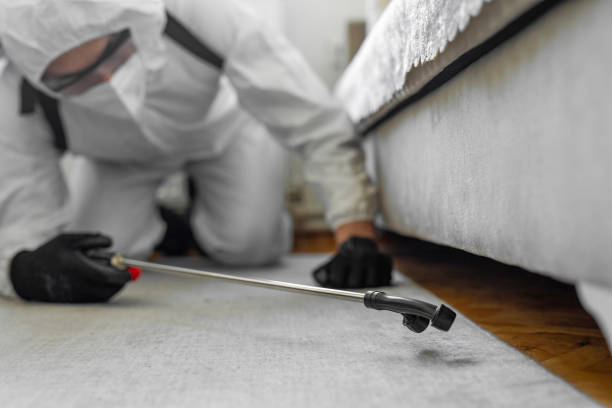 Professional Pest Control technician working in District of Columbia, DC