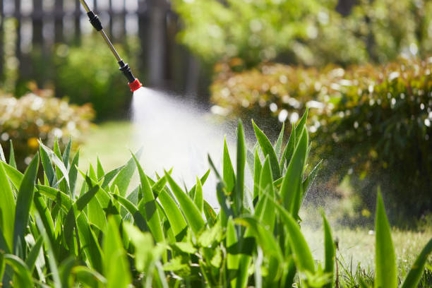 24/7 Emergency Pest Control experts in District of Columbia, DC