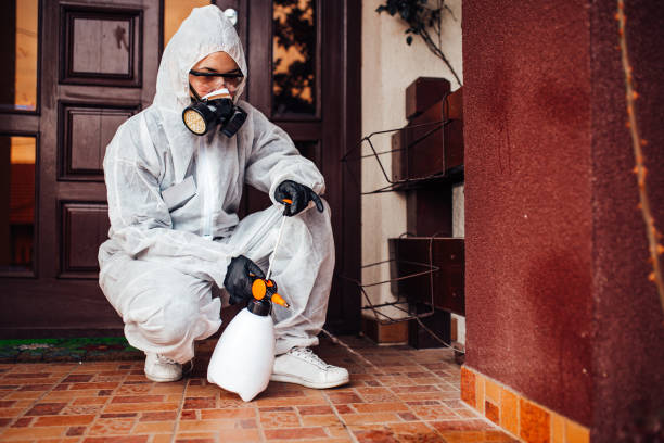 Reliable Pest Control contractor in District of Columbia, DC by Show Me Pest Control